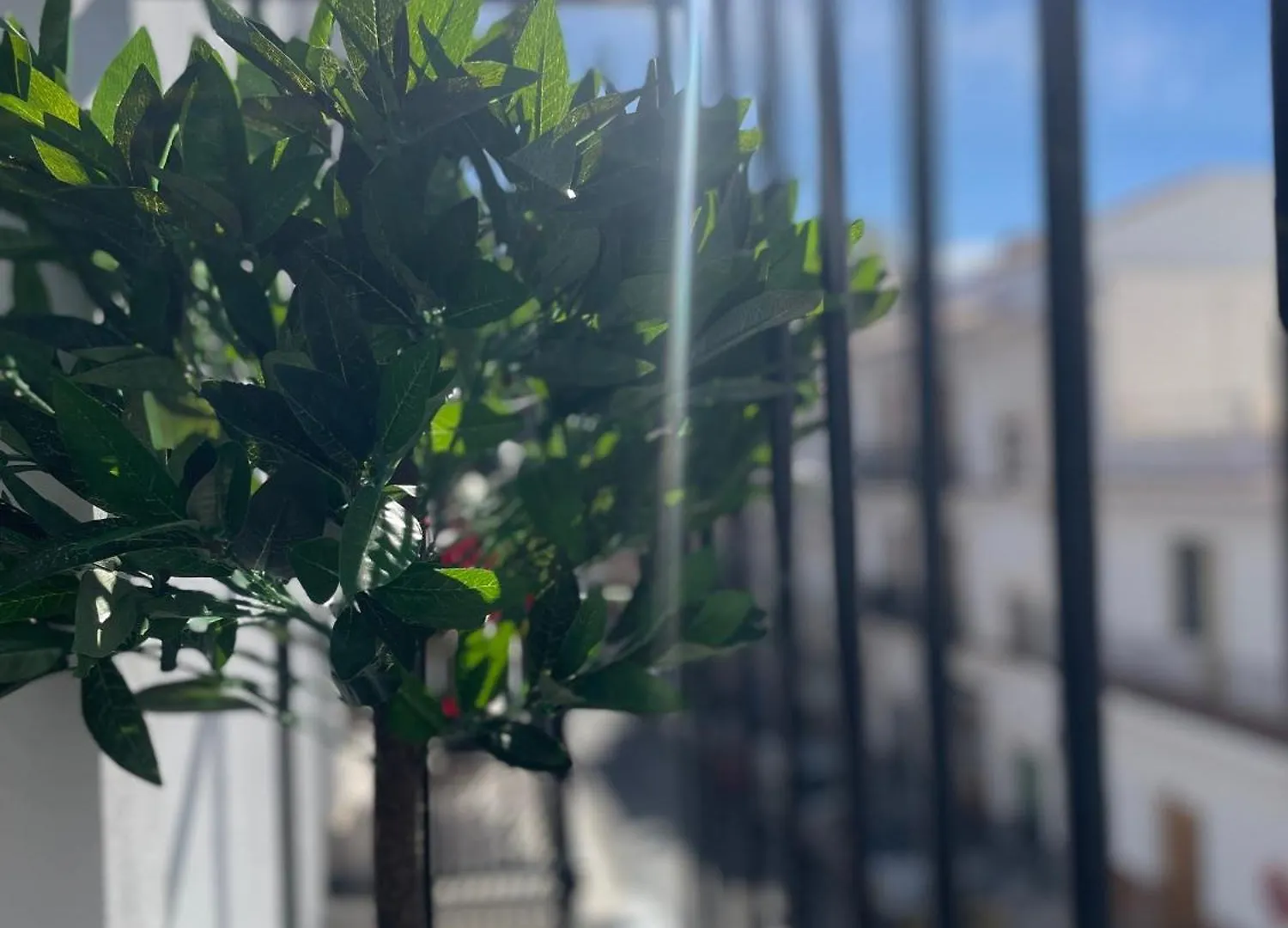 Pradosol Apartamentos Nerja Spanyolország